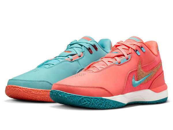 NIKE レブロン バッシュ レブロン・ジェームズ シグネチャーモデル『NIKE ZOOM LEBRON NXXT GEN